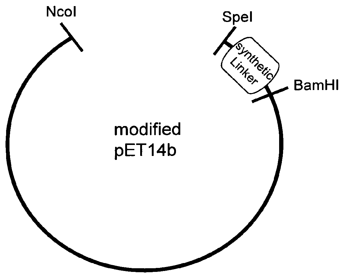 Methods of generating and screening for lytic chimeric polypeptides