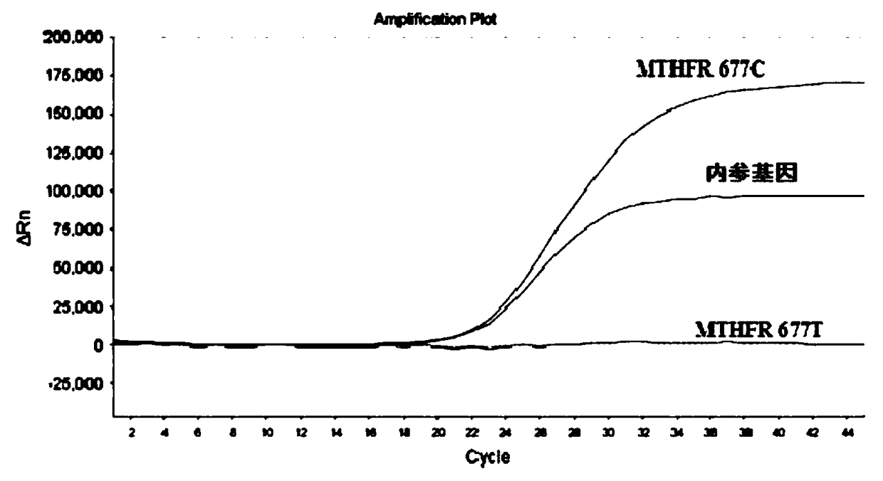 Kit used for detecting human MTHFR and MTRR gene polymorphism, and detection method thereof