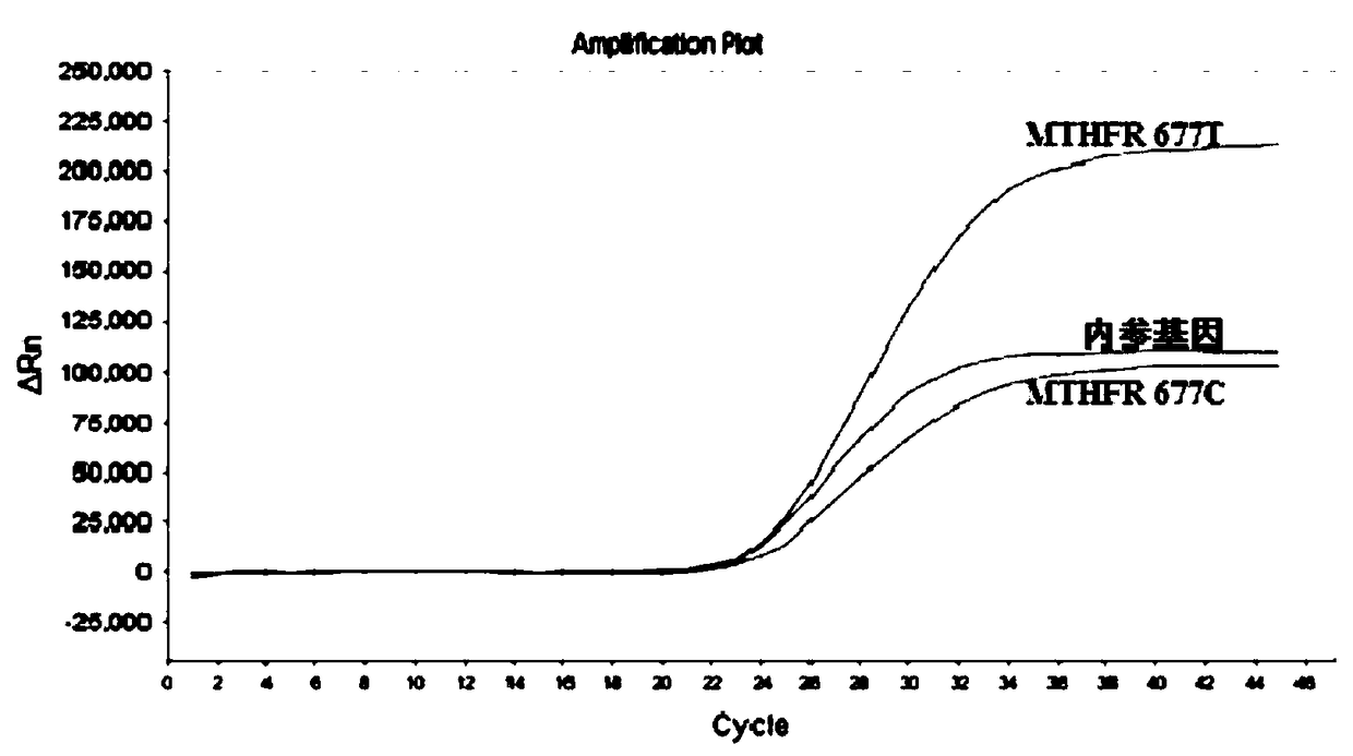 Kit used for detecting human MTHFR and MTRR gene polymorphism, and detection method thereof