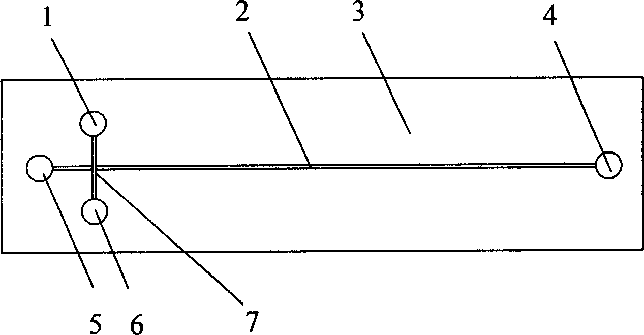 Method for preparing noumenal modification polymethyl methacrylate micro flow control chip