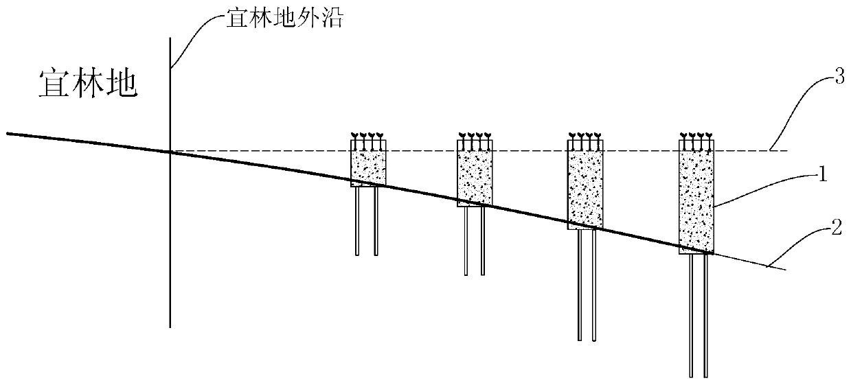 Method for constructing and creating mangrove protection forest on mud flat non-suitable for frosts