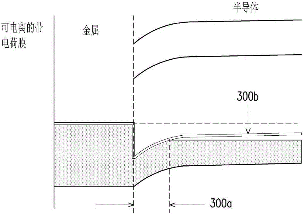 Solar Cells and Solar Cell Modules