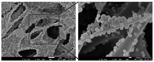 Method for preparing superamphiphobic polysulfone membrane for membrane distillation