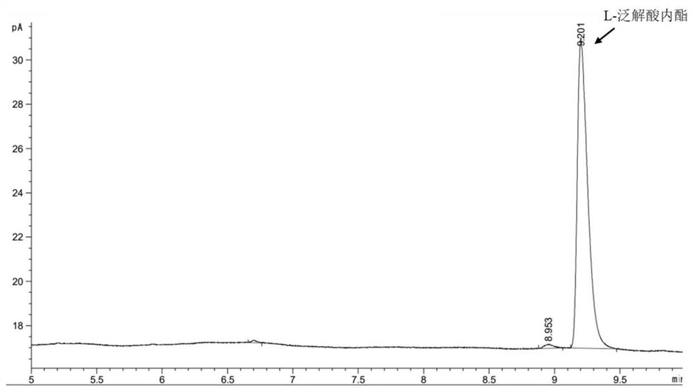 L-pantoic acid lactone dehydrogenase, mutant and application of L-pantoic acid lactone dehydrogenase