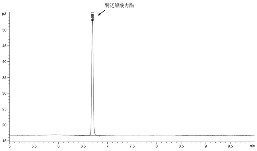 L-pantoic acid lactone dehydrogenase, mutant and application of L-pantoic acid lactone dehydrogenase