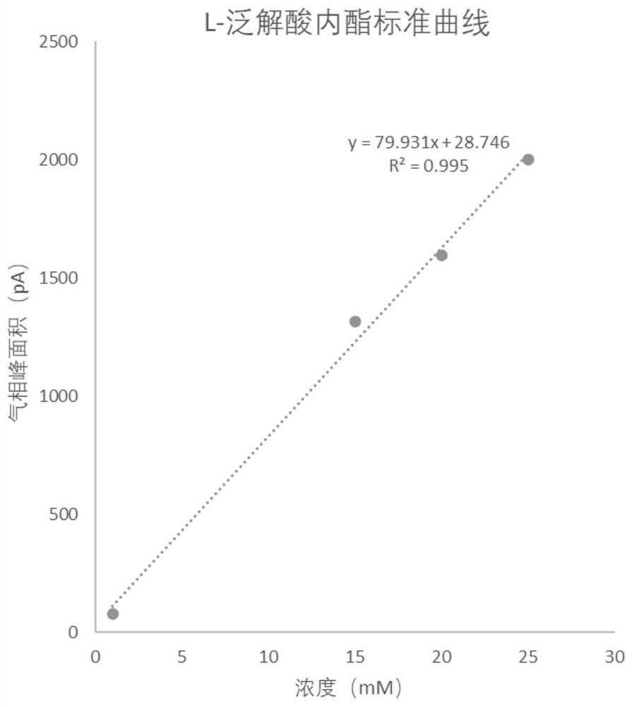 L-pantoic acid lactone dehydrogenase, mutant and application of L-pantoic acid lactone dehydrogenase