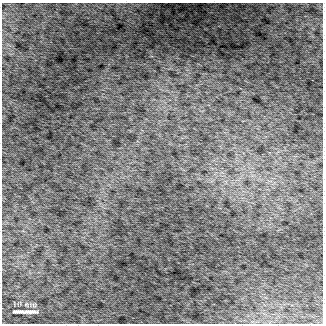 Preparation method of wholly-inorganic lead-containing halide perovskite quantum dot fluorescent powder