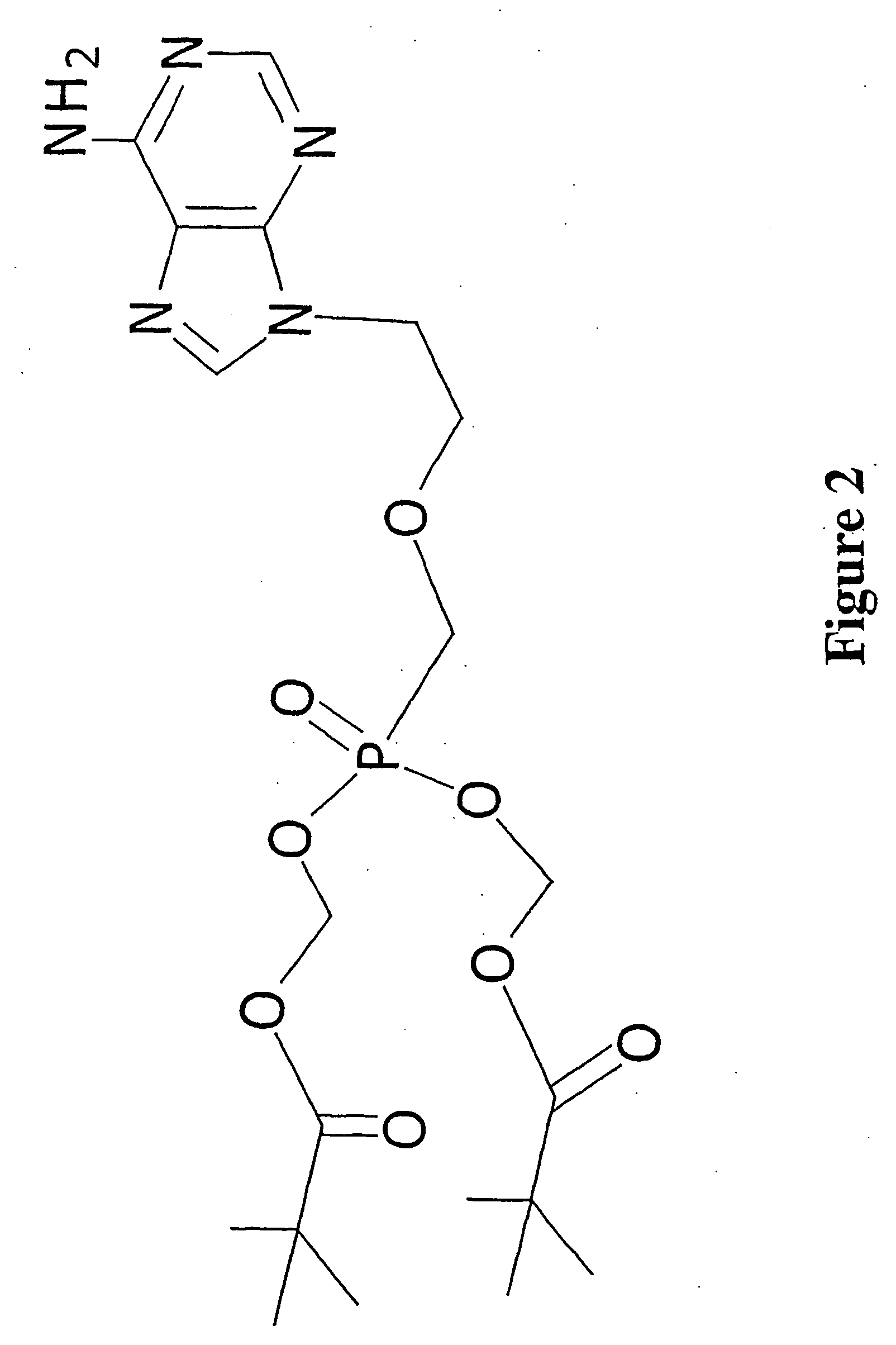 Hepatitis B viral variants with reduced susceptibility to nucleoside analogs and uses thereof