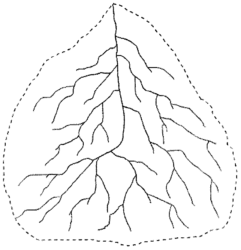 A method for detecting spatio-temporal anomalies in online river networks