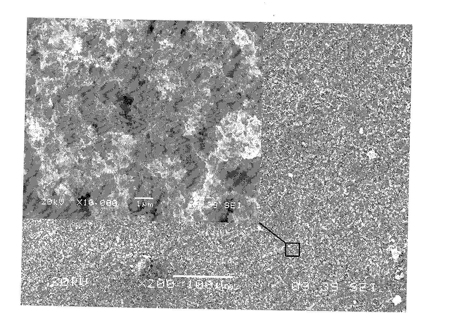 Preparation method of hydroxylapatite/titanic oxide composite biological coatings