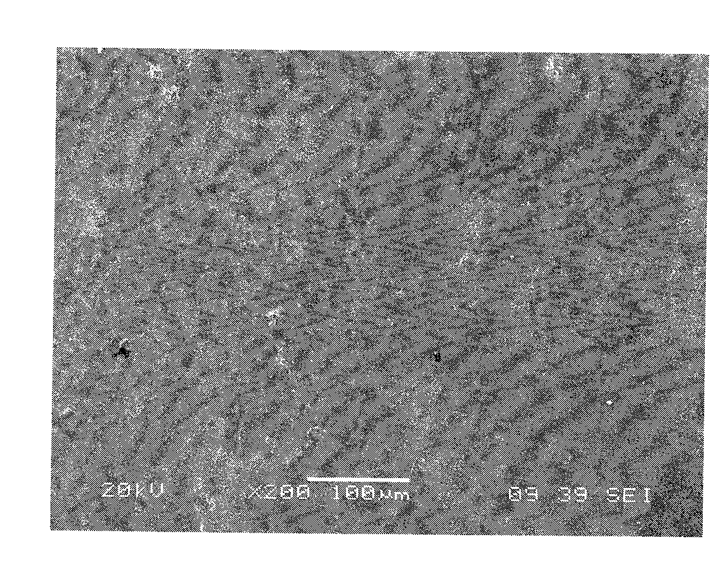 Preparation method of hydroxylapatite/titanic oxide composite biological coatings