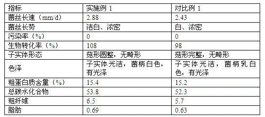 Culture material of Pleurotus eryngii containing rubber wood chips and preparation method thereof