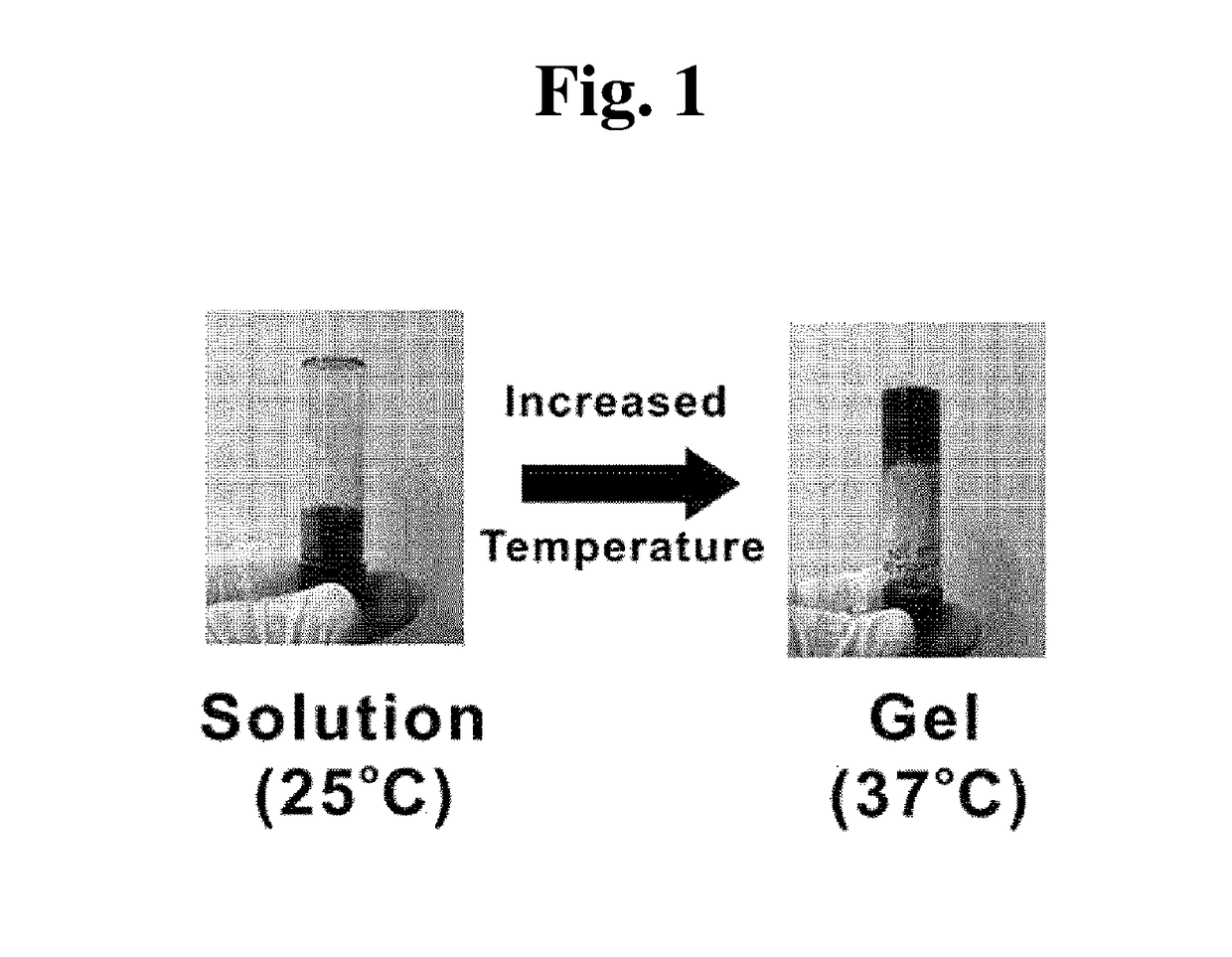 Phosphazene-based polymer for tissue adhesion, a method for preparing the same, and use thereof