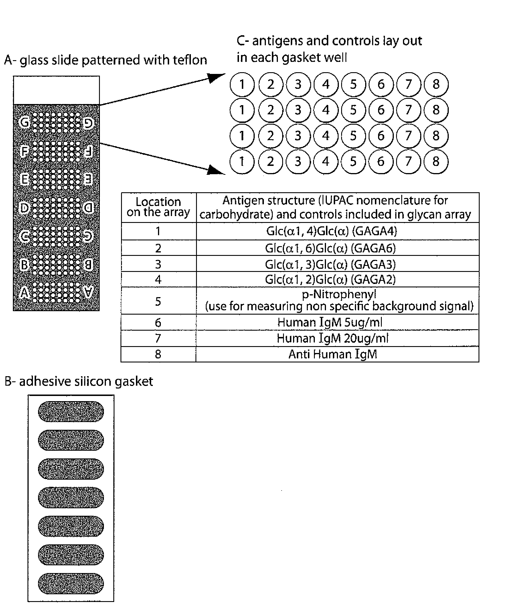 Method for Evaluating Risk in Multiple Sclerosis