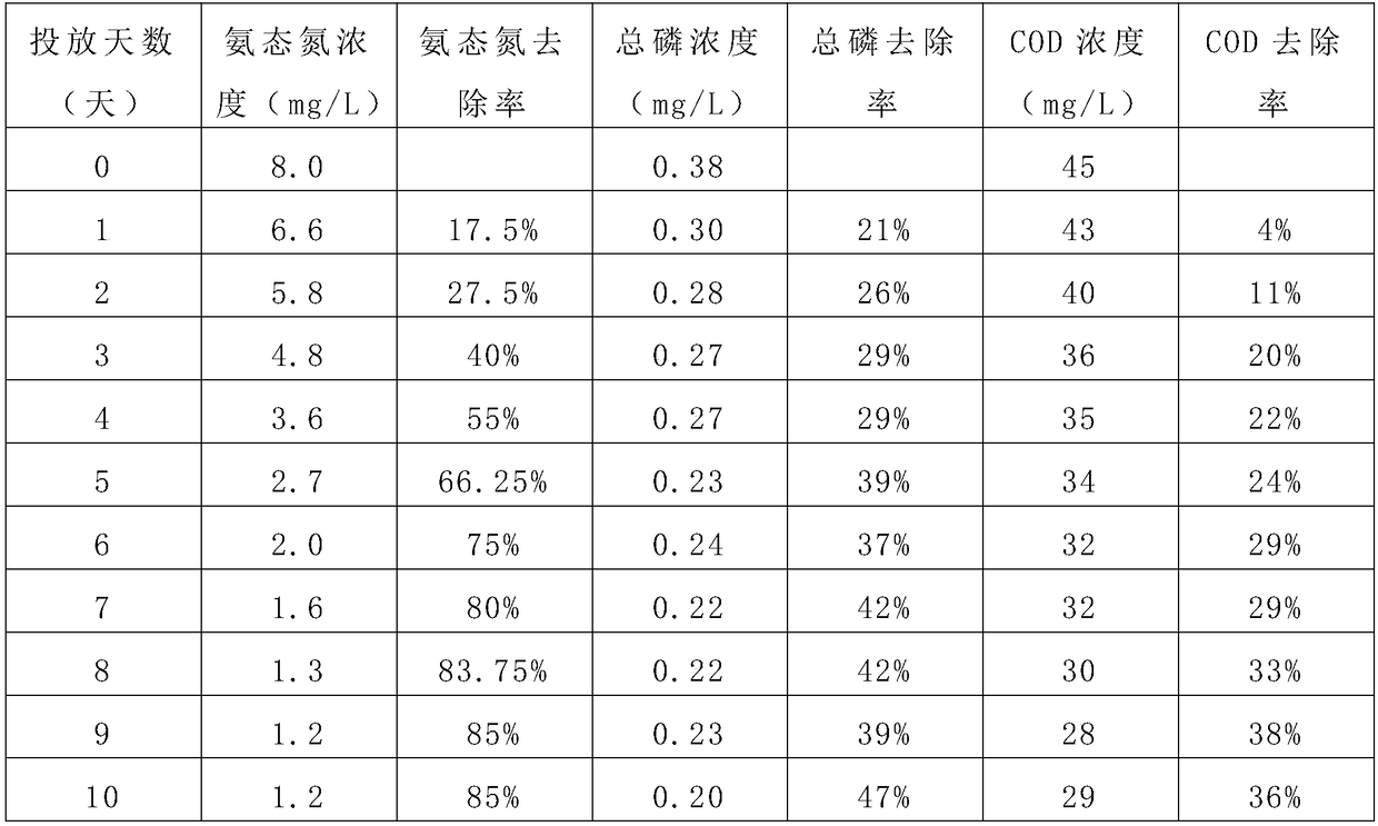 Biologic slow release ball used for governing black and odorous rivers and preparation method and application thereof