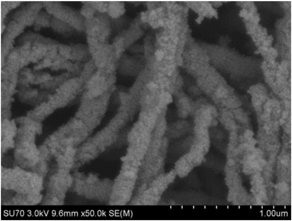 Core-shell structure Ag/TiO2/ZnO nanowire and preparation method for same