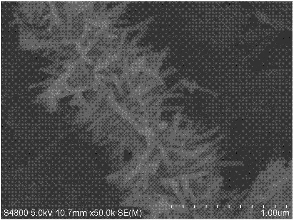 Core-shell structure Ag/TiO2/ZnO nanowire and preparation method for same