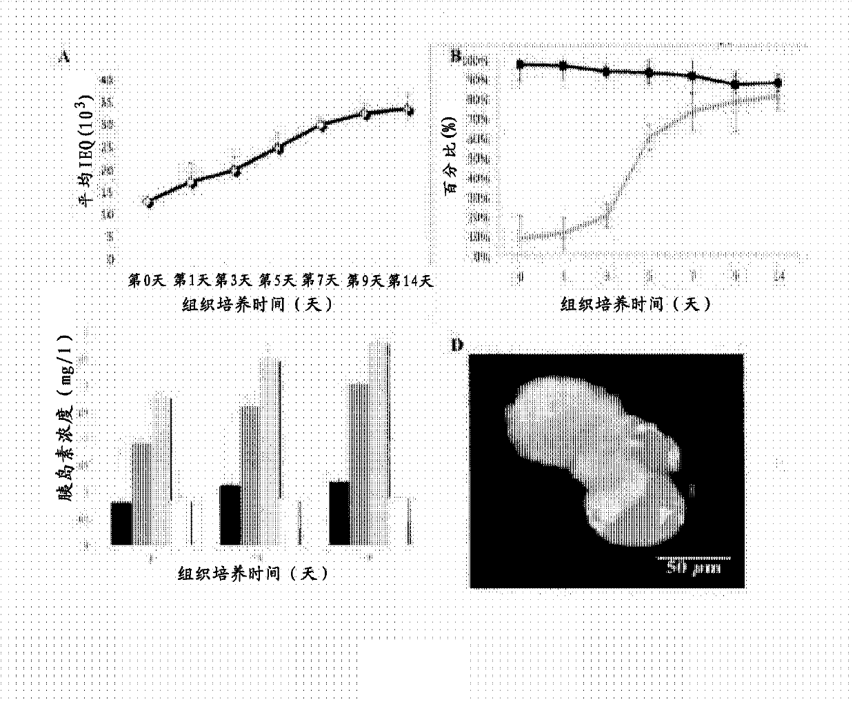 Ex vivo maturation of islet cells