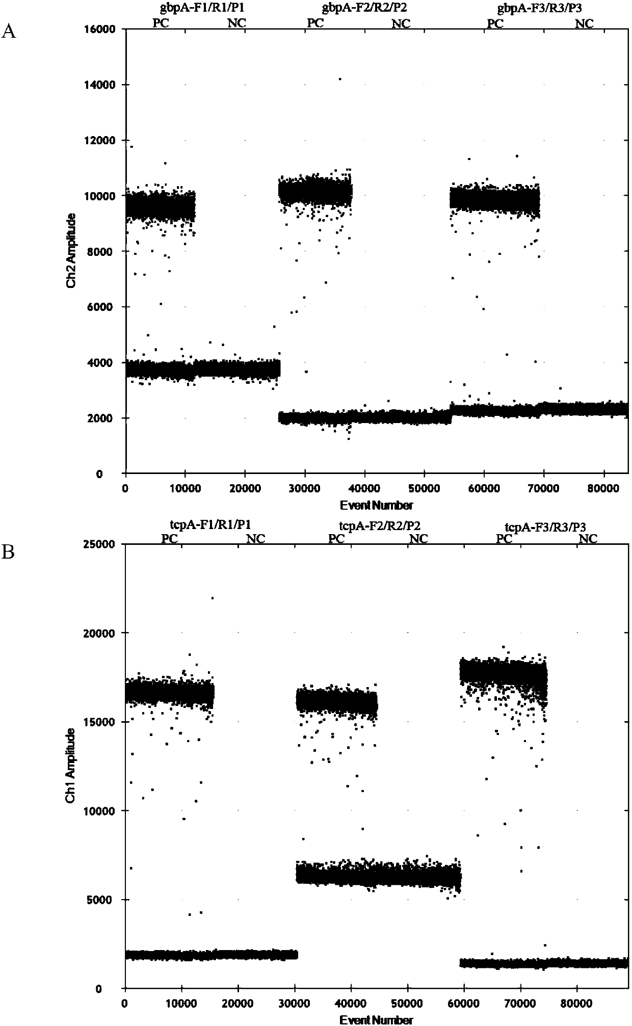 Kit and detection method for absolute quantitative detection of total vibrio cholerae and pathogenic vibrio cholerae