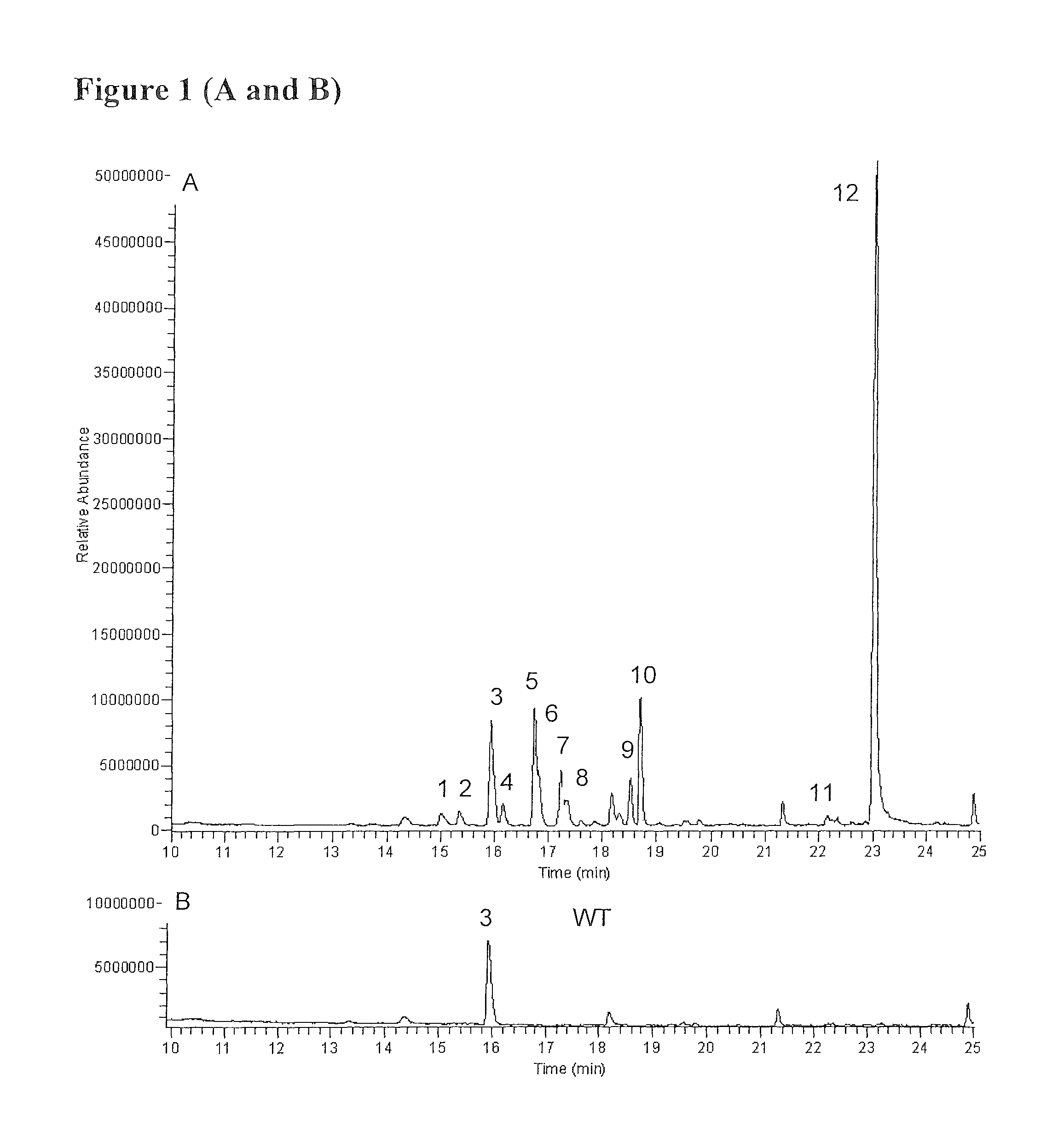 Transformed plants accumulating terpenes