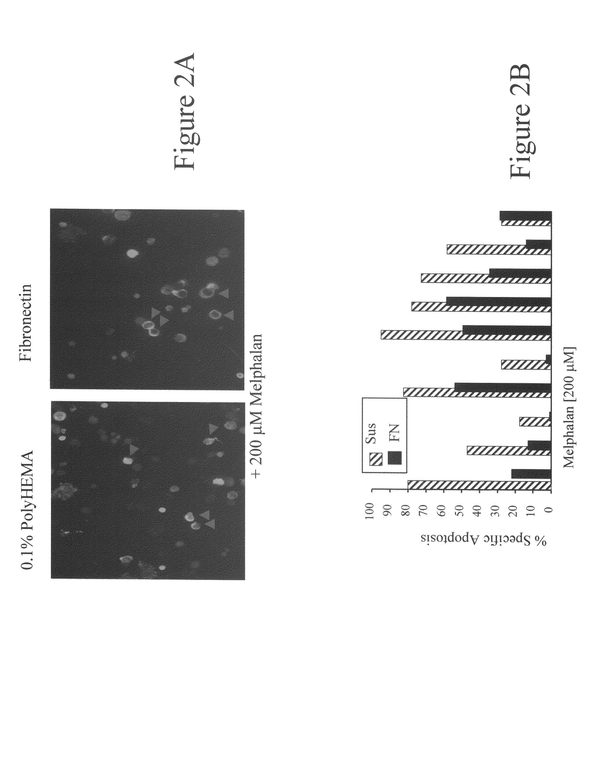 Materials and methods for treating oncological disorders