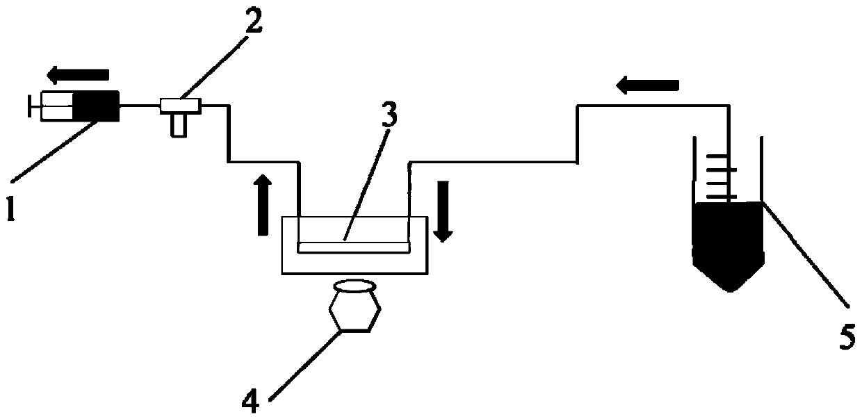 Micro-fluidic chip device for inducing transmembrane migration of cancer cells through fluid shear stress