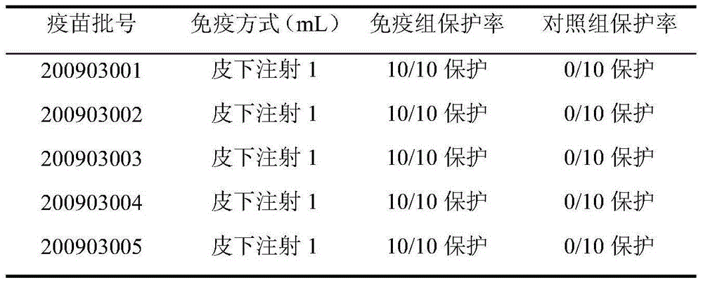 Bivalent propolis inactivated vaccine for rabbit hemorrhagic disease and multocida pasteurellosis and preparation method of bivalent propolis inactivated vaccine