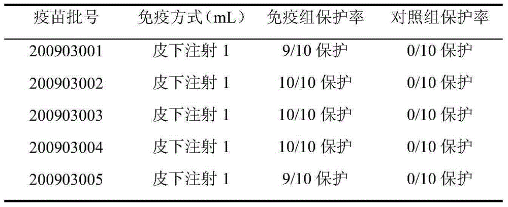 Bivalent propolis inactivated vaccine for rabbit hemorrhagic disease and multocida pasteurellosis and preparation method of bivalent propolis inactivated vaccine