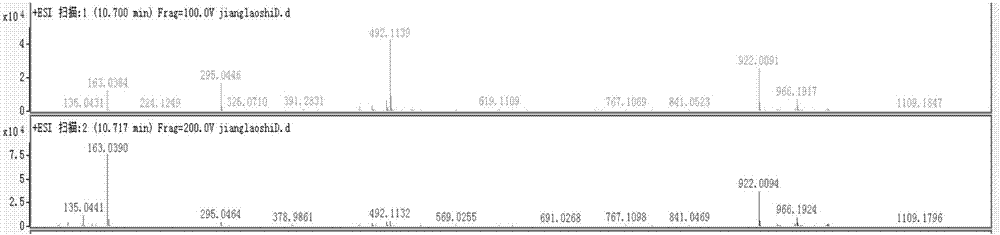 Application of chicoric acid in preparing drug for preventing respiratory syncytial virus