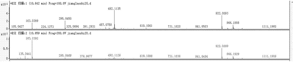 Application of chicoric acid in preparing drug for preventing respiratory syncytial virus