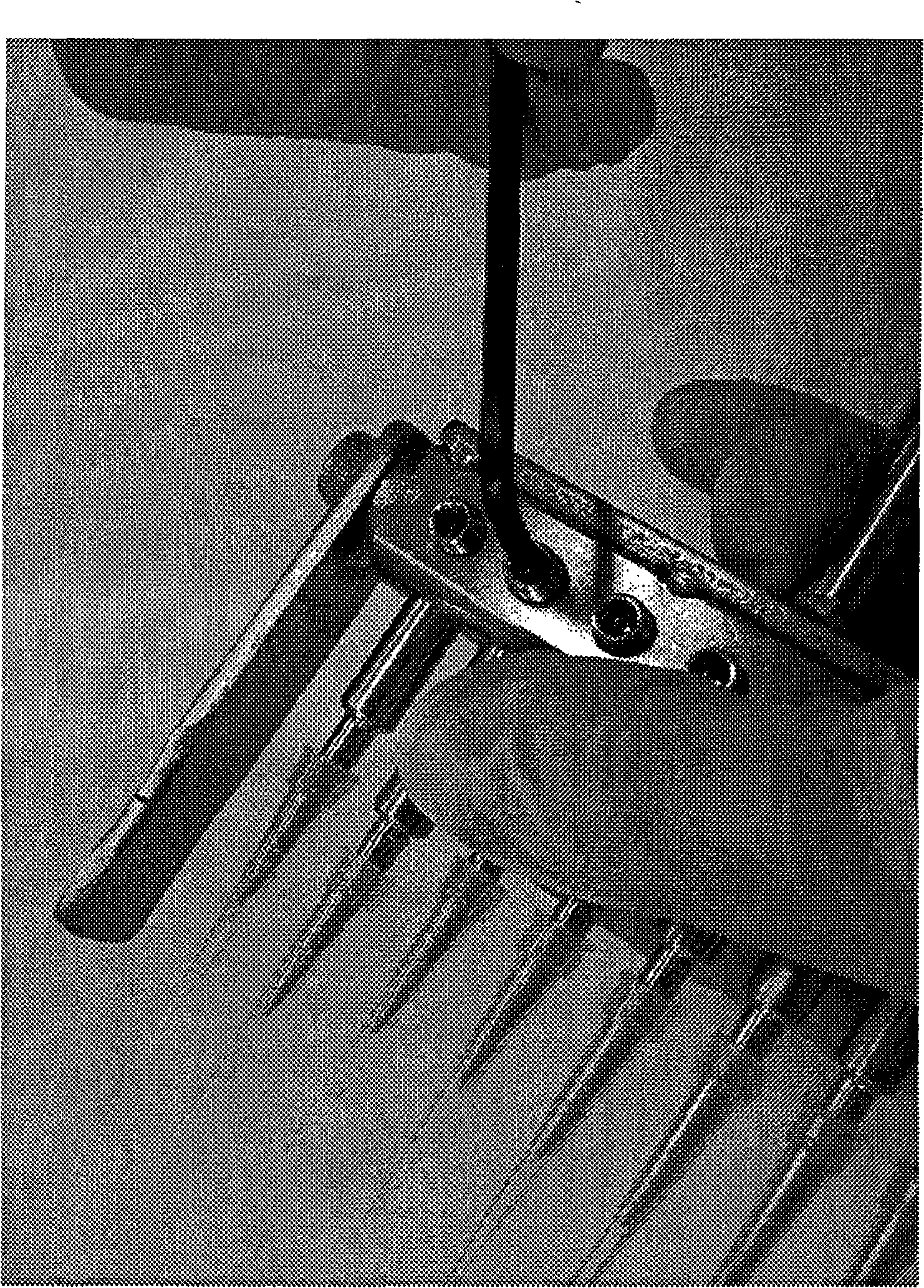 Mechanical damaging device for cell damage processing