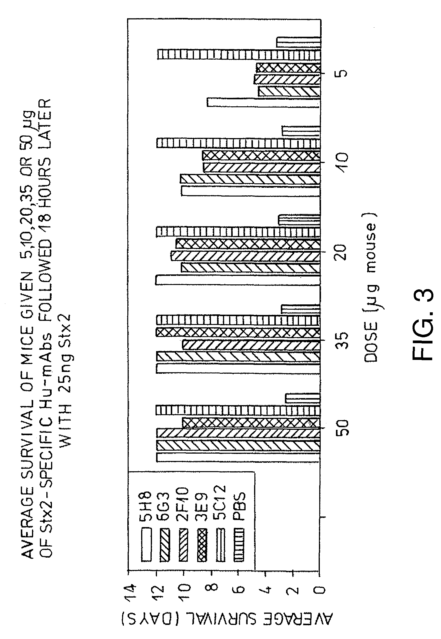 Human neutralizing antibodies against hemolytic uremic syndrome