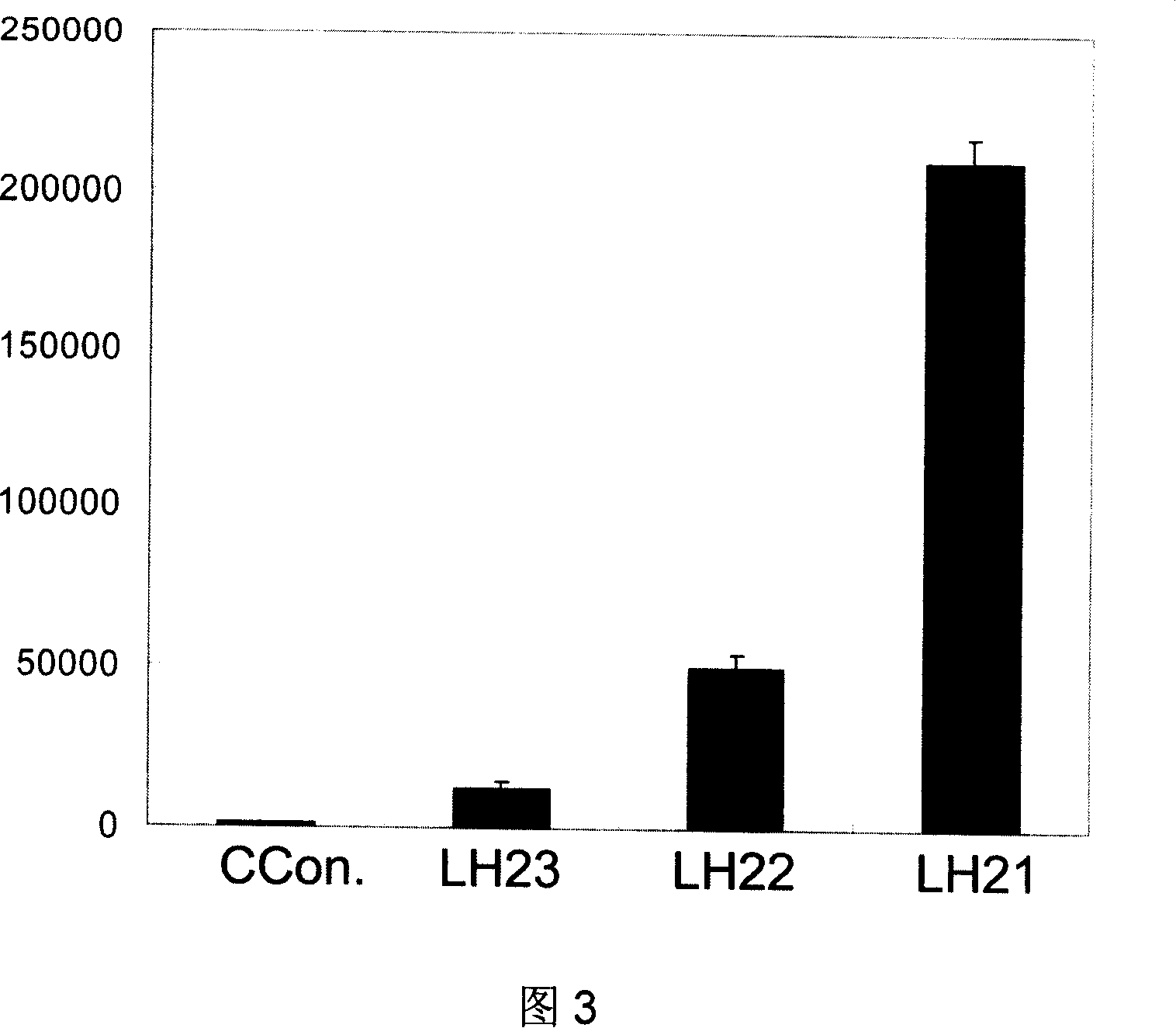 SARS coronavirus polypeptide antigen and application thereof