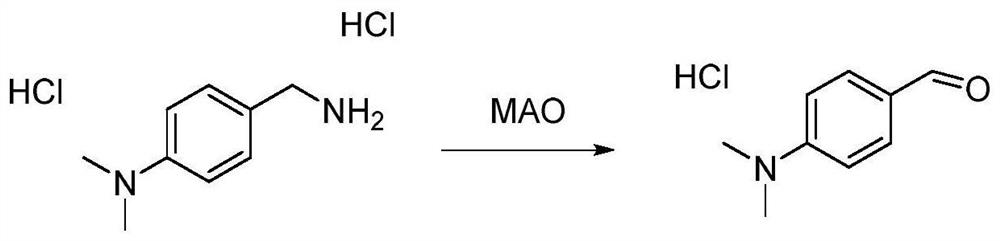 Monoamine oxidase enzyme activity detection kit and use method thereof