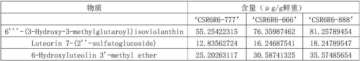 Sweet high-type high-flavonoid cider and preparation method thereof