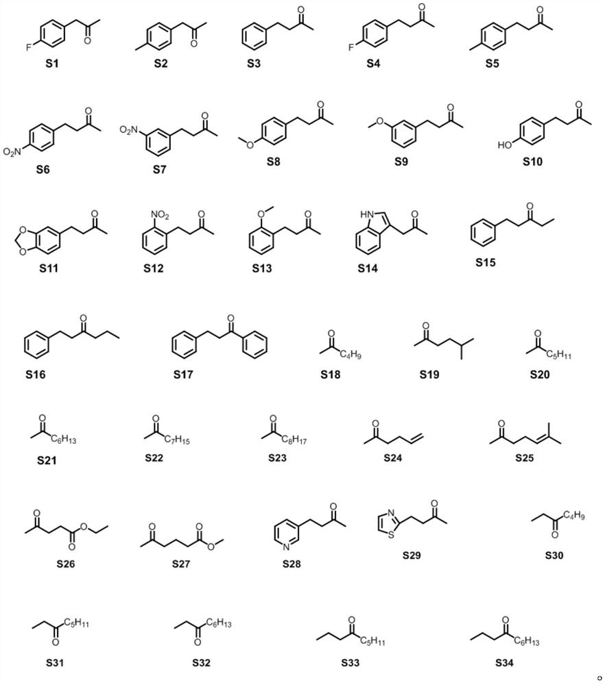 Amphetamine dehydrogenase mutant and application thereof in chiral amine synthesis