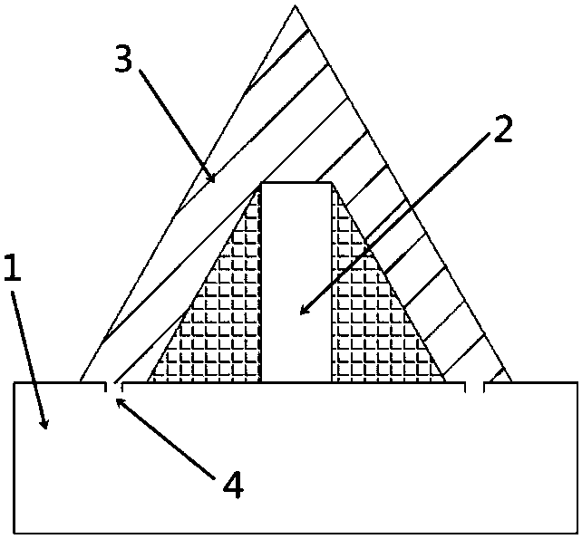 Nutritional soluble microneedle and microneedle slide