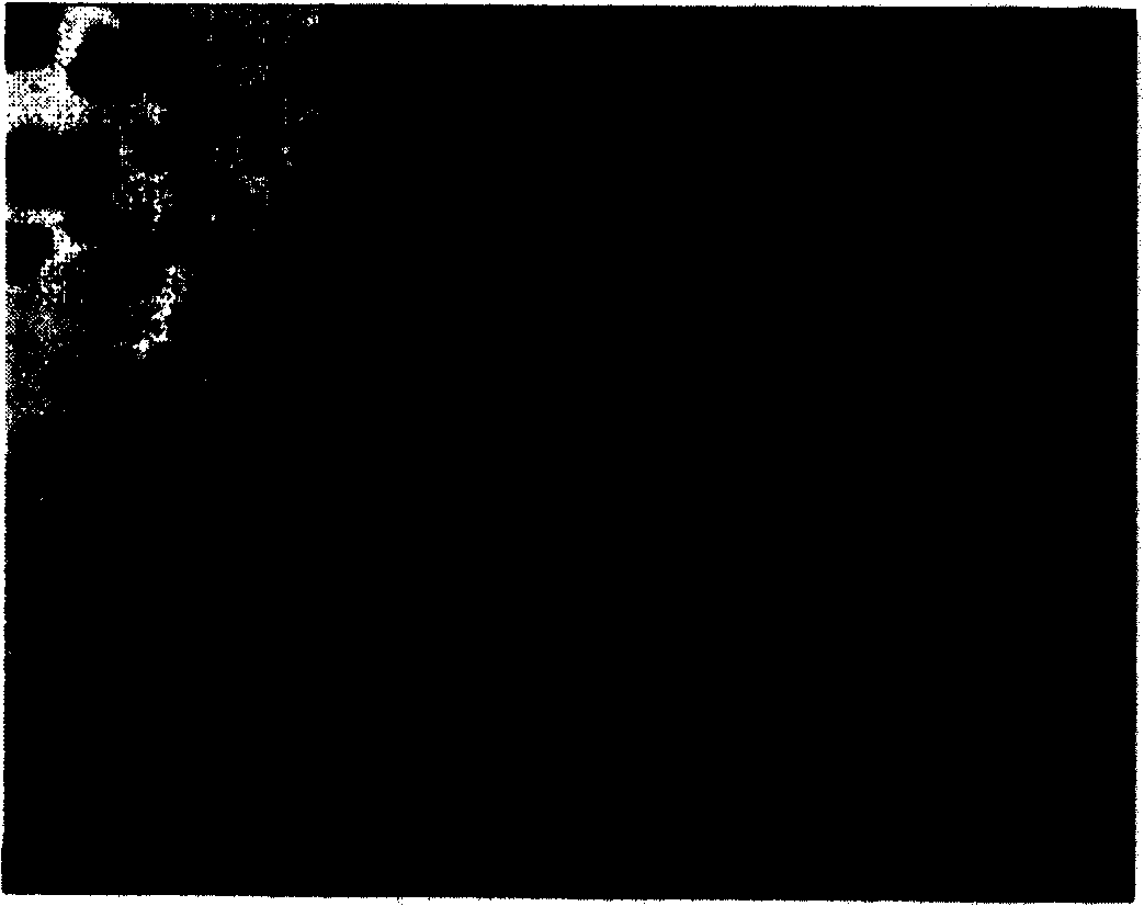 Magnesium/petroleum coke nano hydrogen-storing material