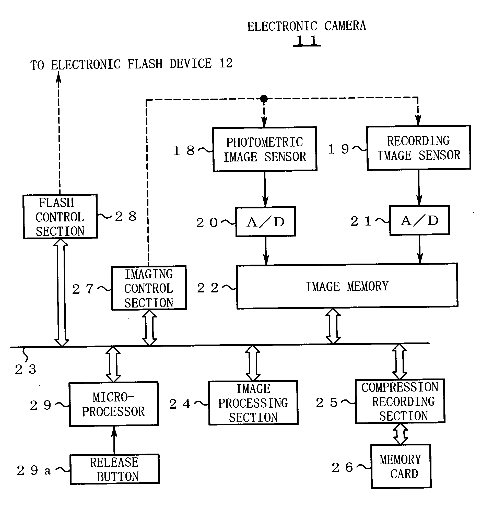 Electronic camera having color adjustment function and program therefor