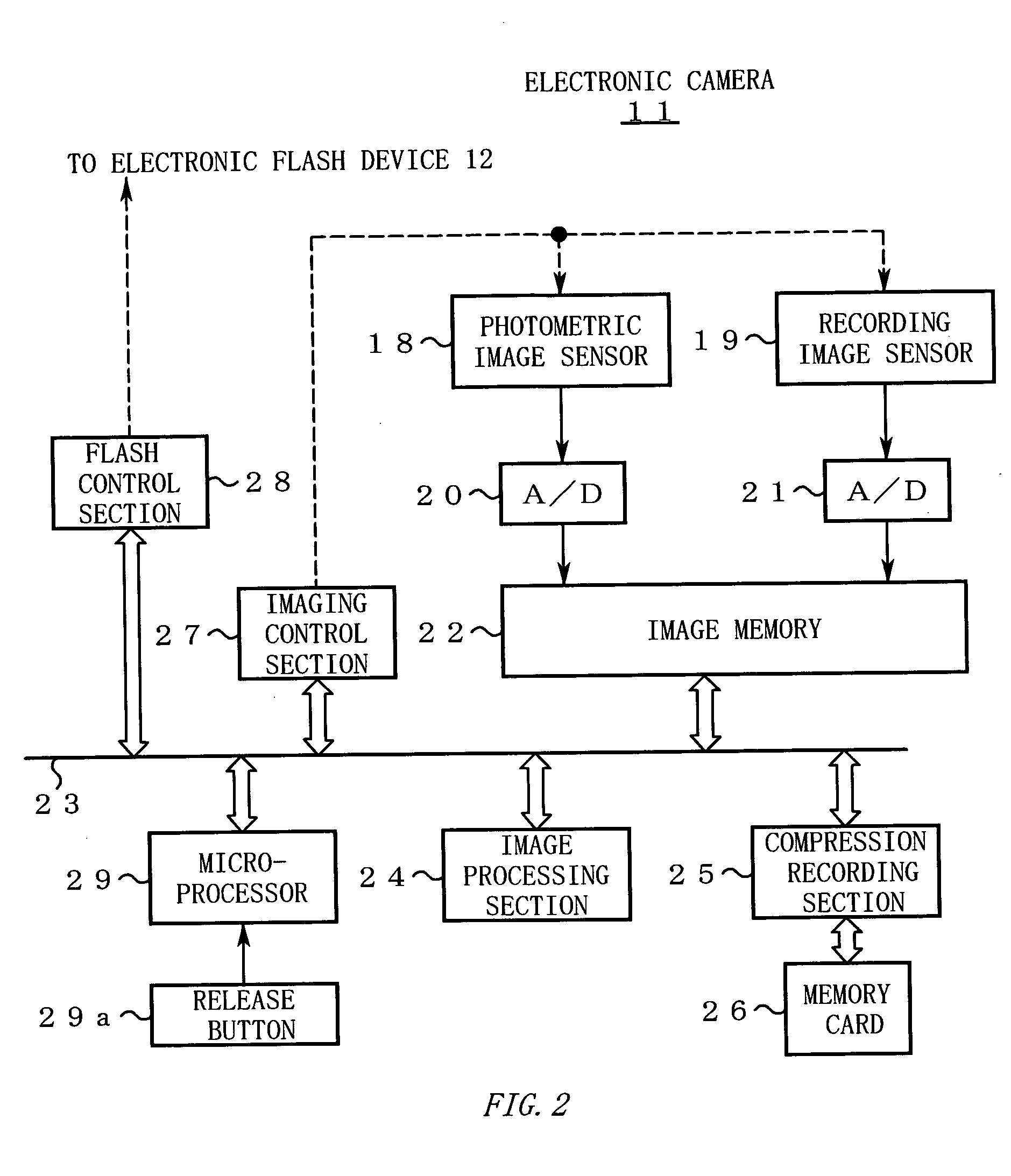 Electronic camera having color adjustment function and program therefor