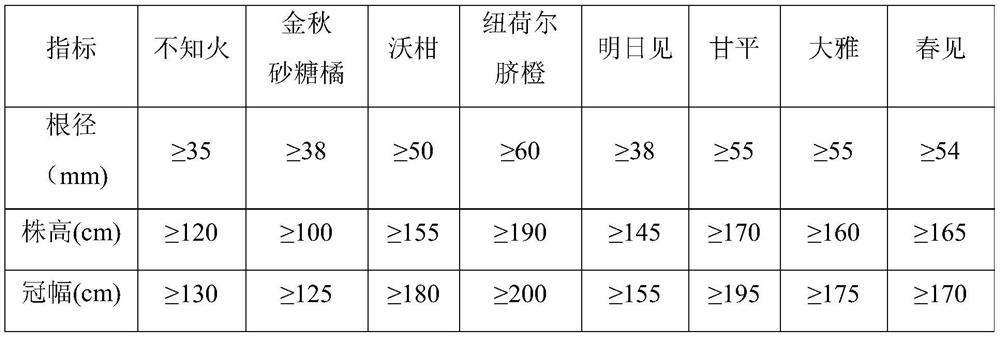 Rapid orchard building and light and simple management and protection method for late-maturing oranges