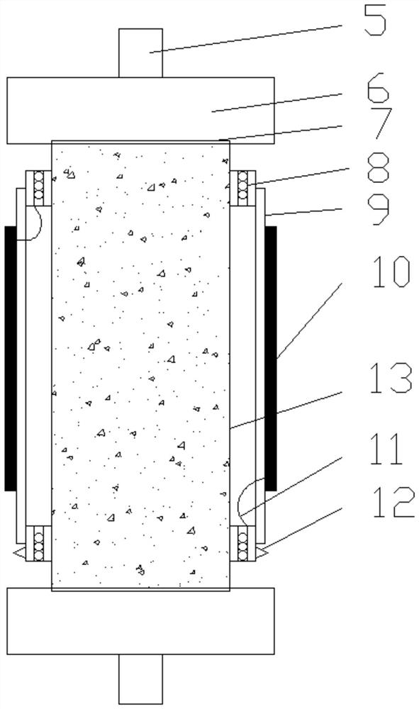 Immobilized uricase perfusion device and application thereof