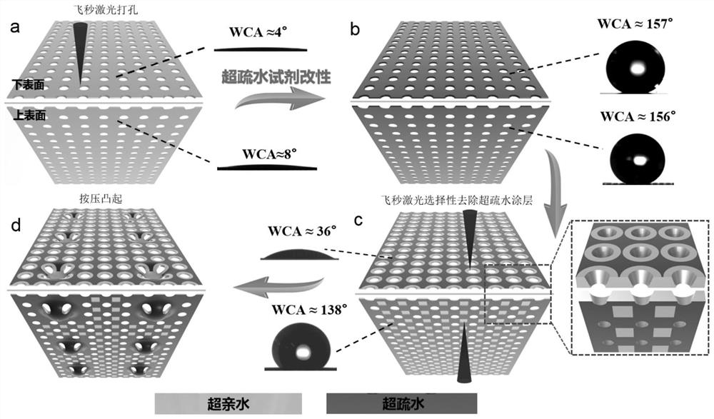 Multiple biological characteristic inspired fog water collection composite Janus membrane and preparation method thereof