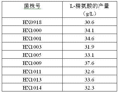 Strain capable of producing L-arginine and method for producing L-arginine by same