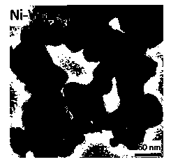 A kind of preparation method for the catalyst of bio-oil hydrodeoxygenation