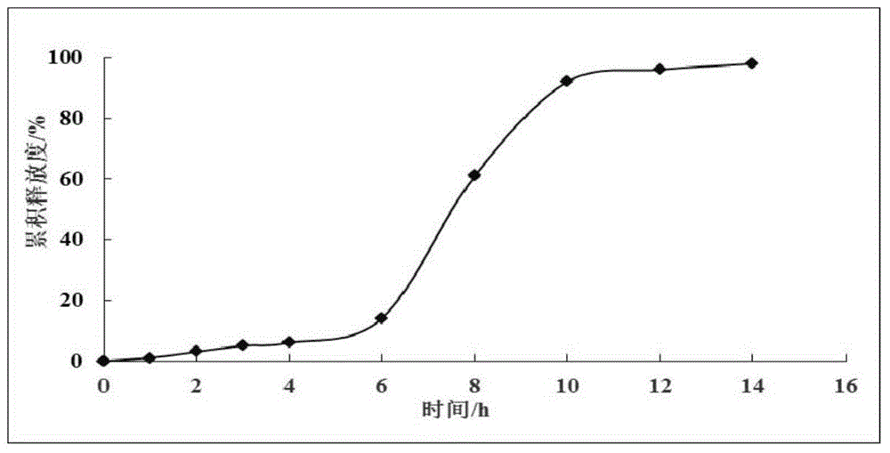 Preparation method of whitmania pigra whitman extract sustained-release pellet