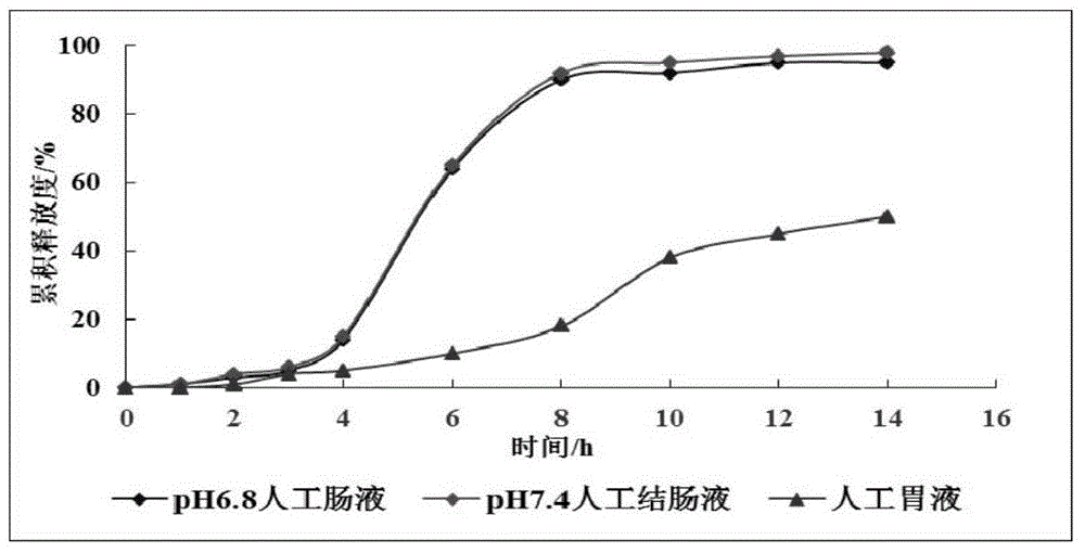 Preparation method of whitmania pigra whitman extract sustained-release pellet