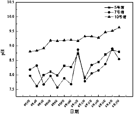 Compound bacterial agent for aquaculture and application thereof