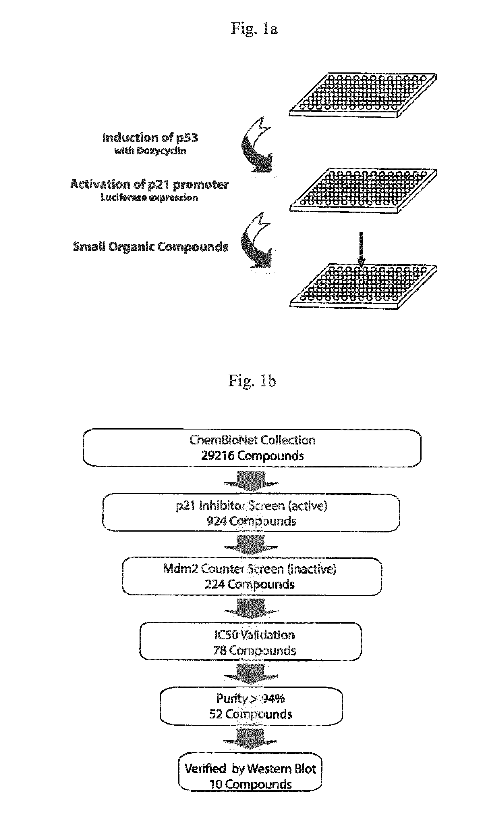 Specific inhibitors of protein p21 as therapeutic agents