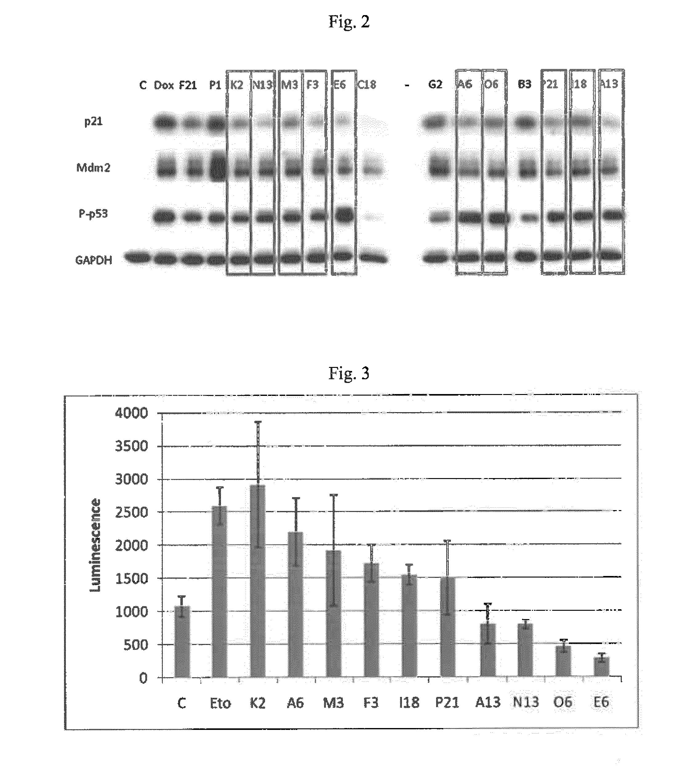 Specific inhibitors of protein p21 as therapeutic agents